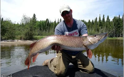 Mastering Fall Pike Fishing: The Secrets to Landing a Trophy